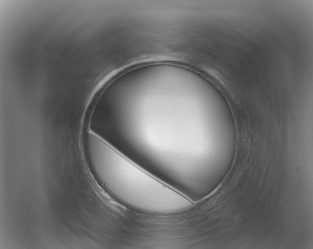 X0000056351460200508260907
