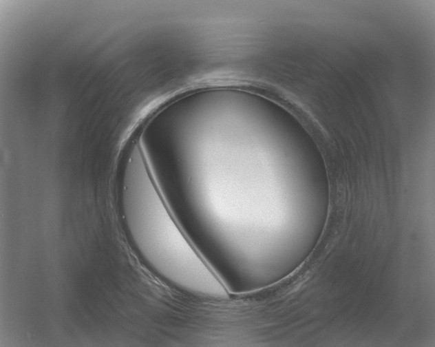 X0000056351461200508260907