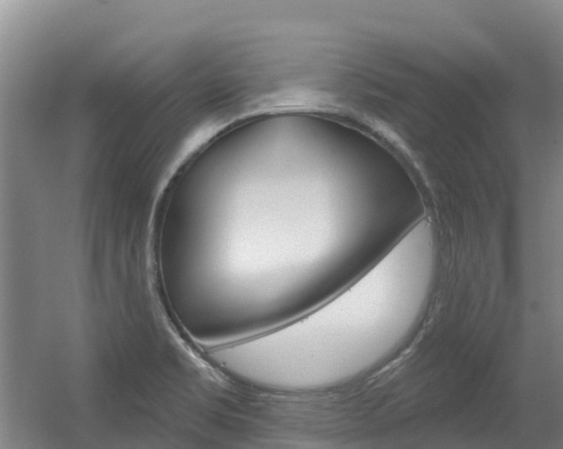 X0000056351469200508260907