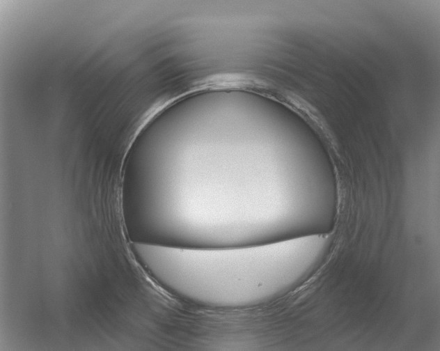 X0000056351473200508260907