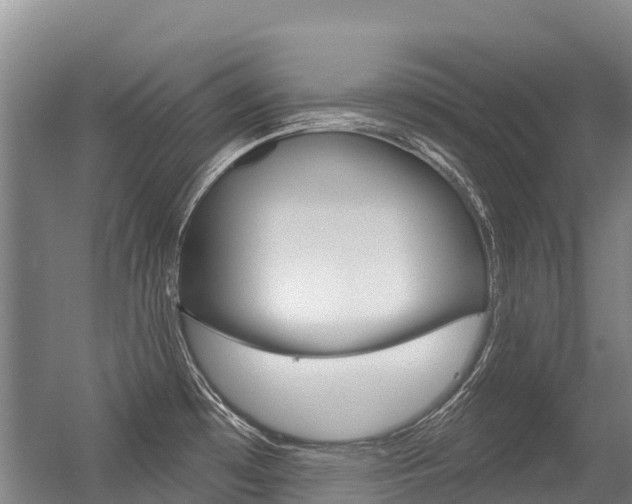 X0000056351481200508260907