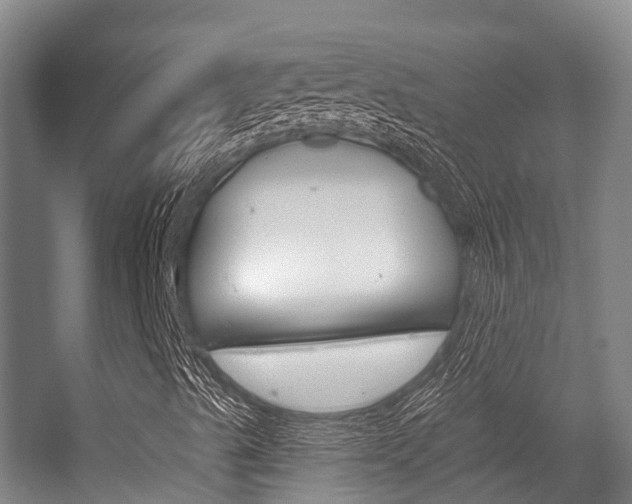 X0000056351489200508260906