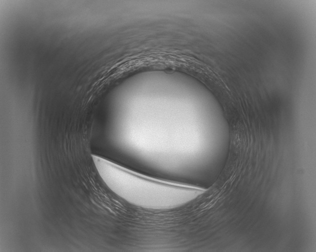 X0000056351490200508260906