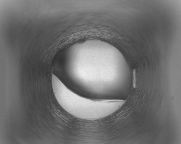 X0000056351491200508260906