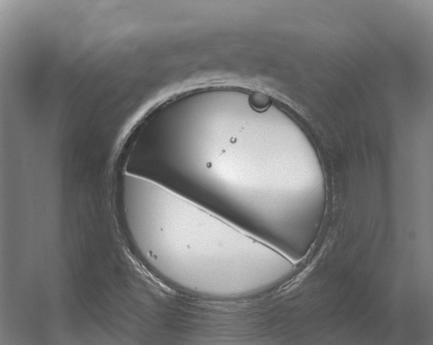 X0000056351502200508260906