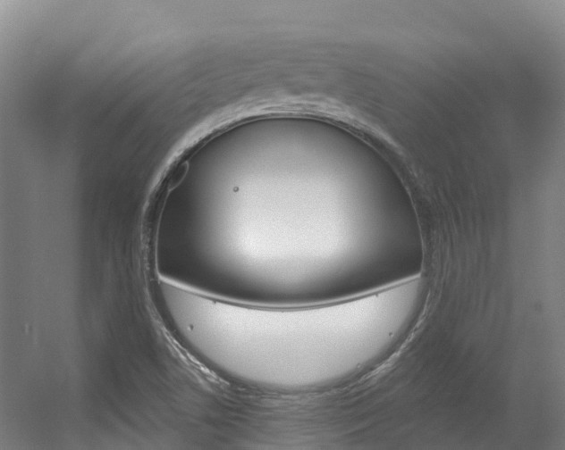 X0000056351506200508260906