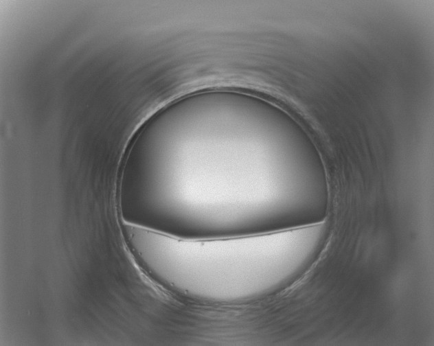 X0000056351513200508260906