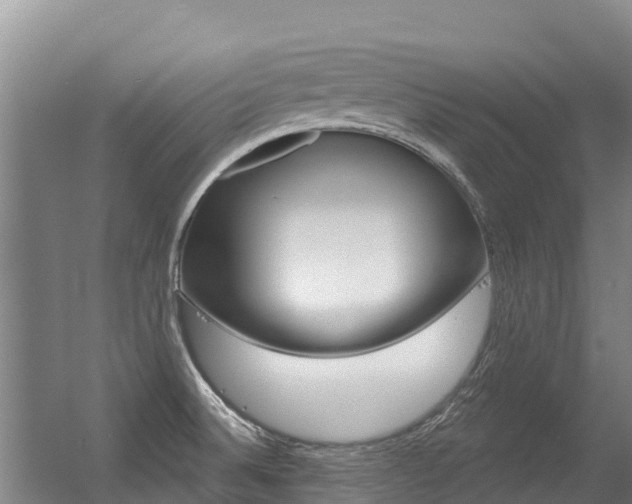 X0000056351524200508260906