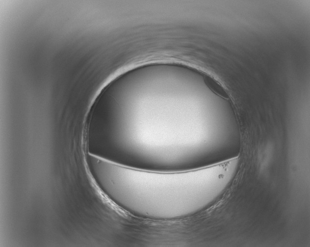 X0000056351526200508260906