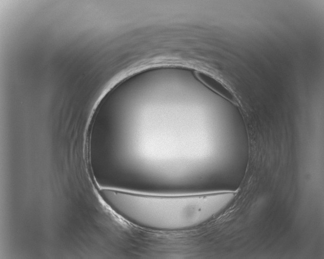 X0000056351527200508260906