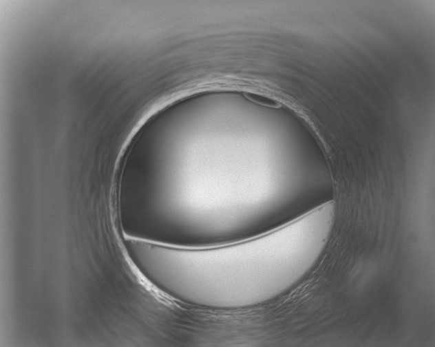 X0000056351531200508260907