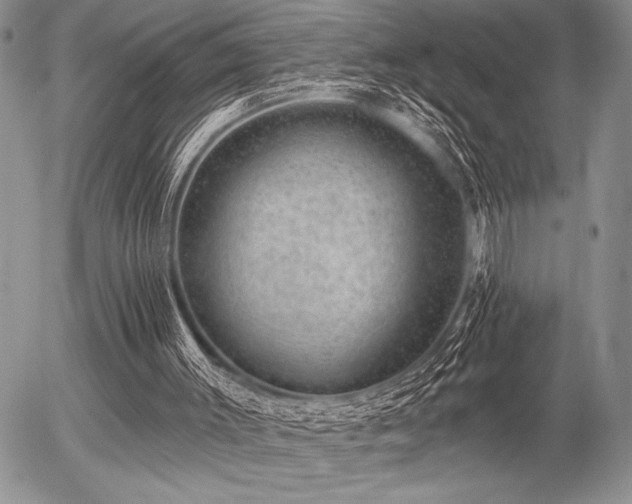 X0000056350003200508261323