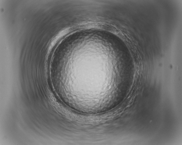 X0000056350006200508261323
