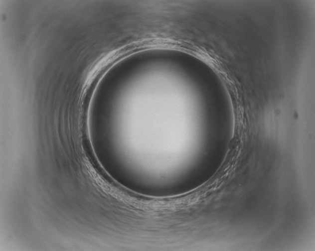 X0000056350007200508261323