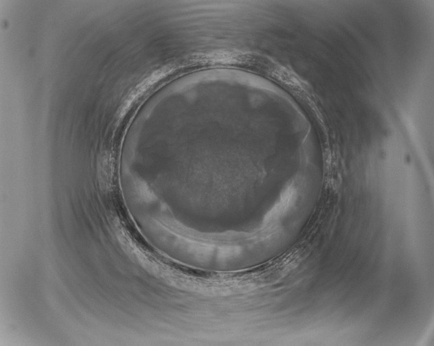 X0000056350012200508261323