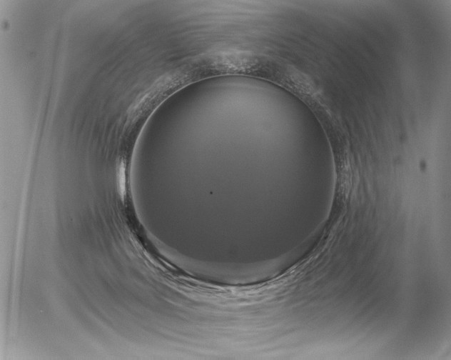 X0000056350027200508261323