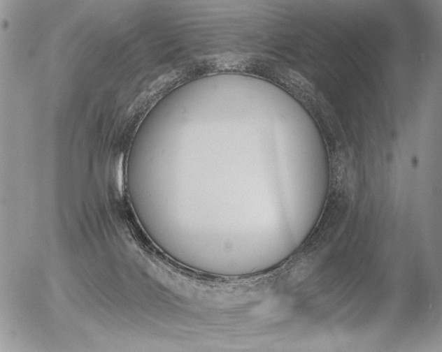 X0000056350028200508261323