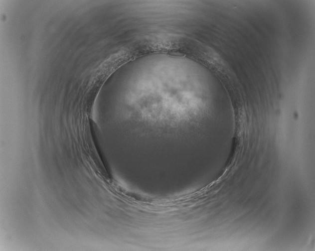 X0000056350029200508261323