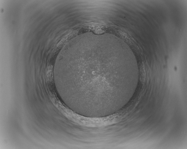 X0000056350034200508261323