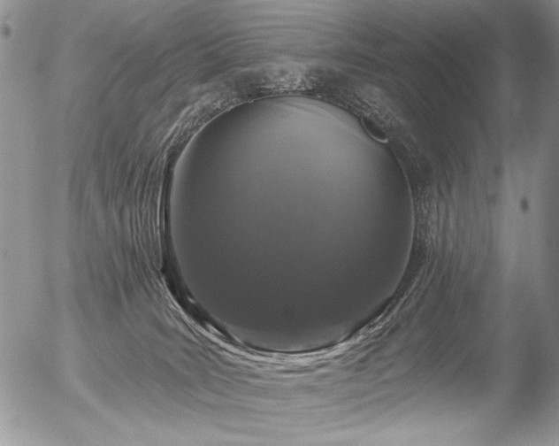 X0000056350035200508261323