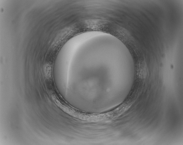 X0000056350036200508261323
