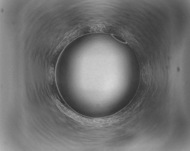 X0000056350038200508261323