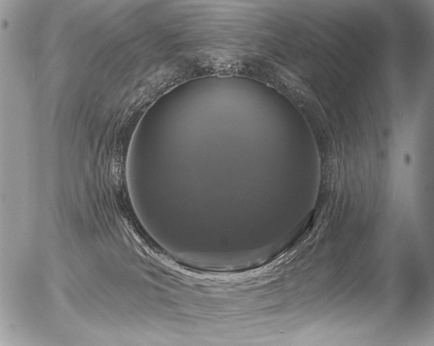 X0000056350039200508261323