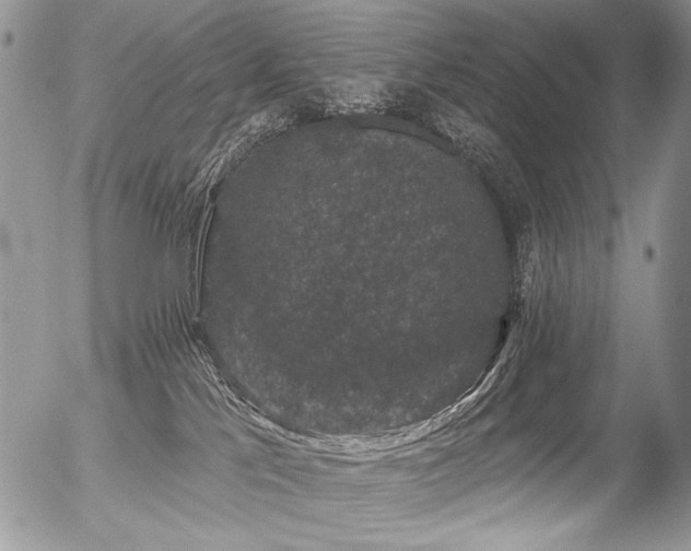 X0000056350041200508261323