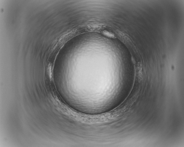 X0000056350042200508261323
