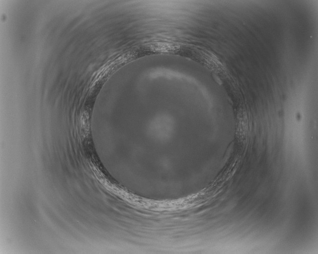 X0000056350043200508261323