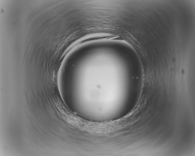 X0000056350045200508261323