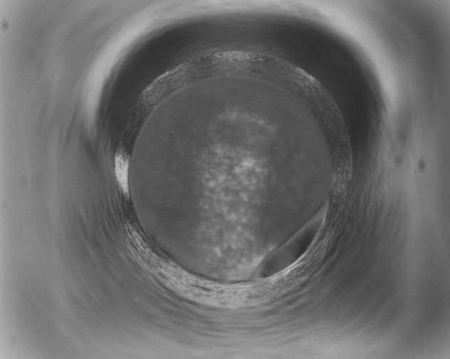 X0000056350047200508261323