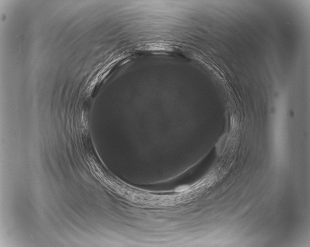 X0000056350048200508261323