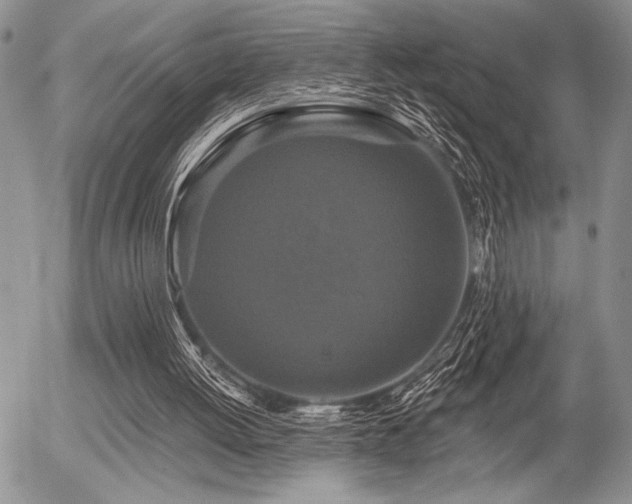 X0000056350052200508261322