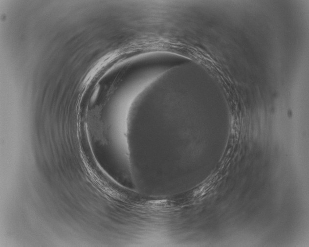 X0000056350054200508261322