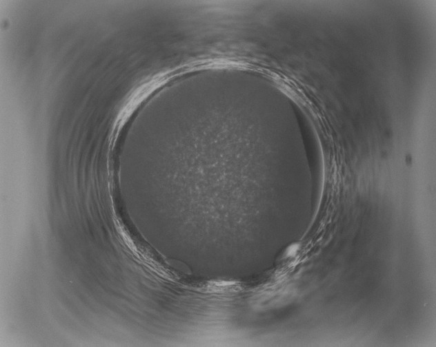 X0000056350055200508261322