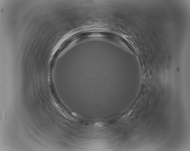 X0000056350056200508261322