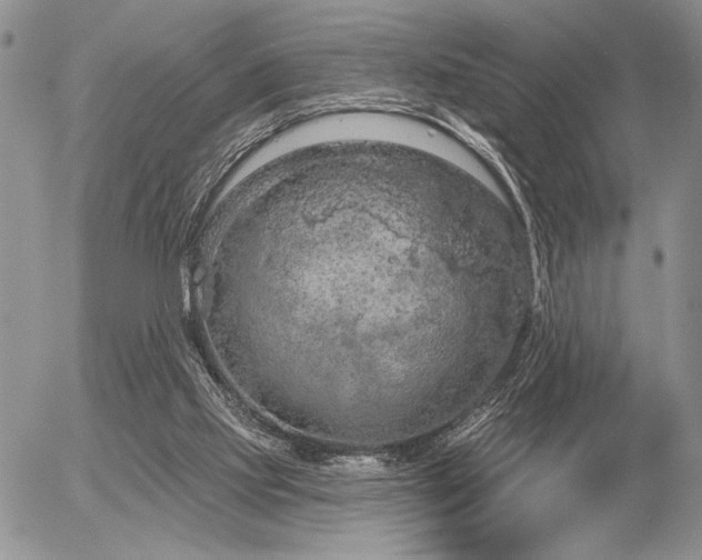 X0000056350061200508261322