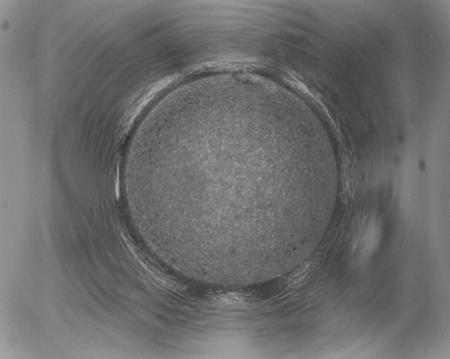 X0000056350062200508261322