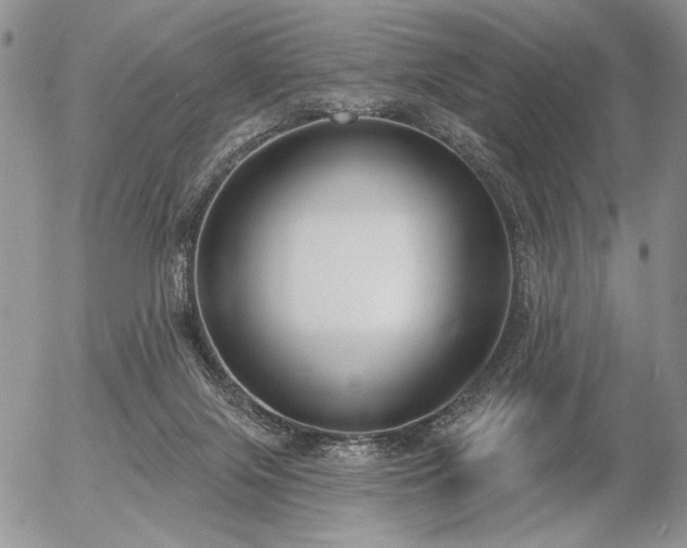 X0000056350071200508261322