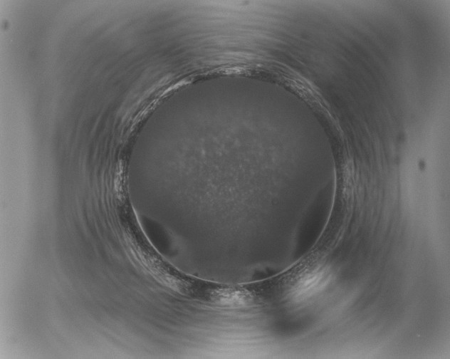 X0000056350073200508261322