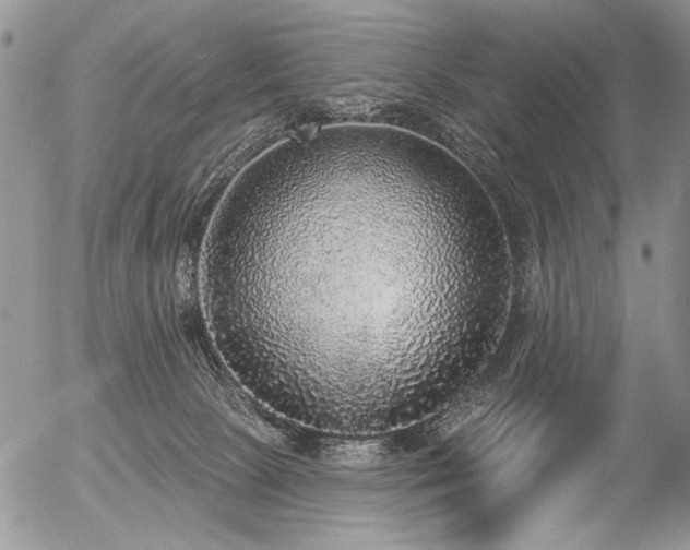 X0000056350081200508261322