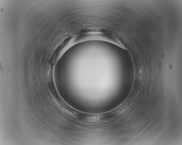 X0000056350084200508261322