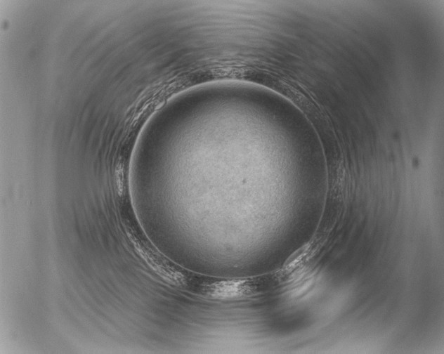 X0000056350090200508261323