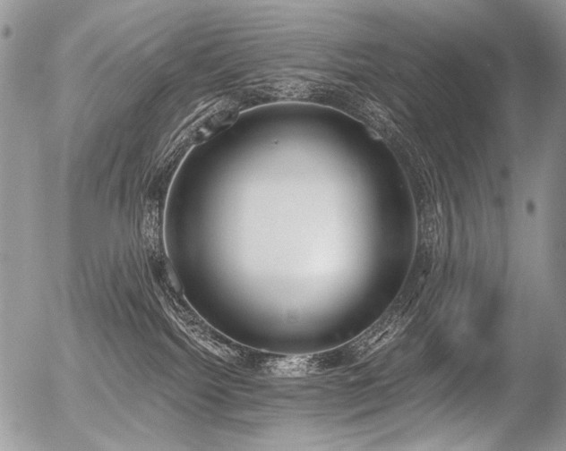 X0000056350092200508261323