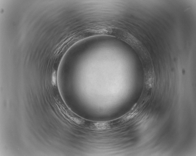 X0000056350095200508261323