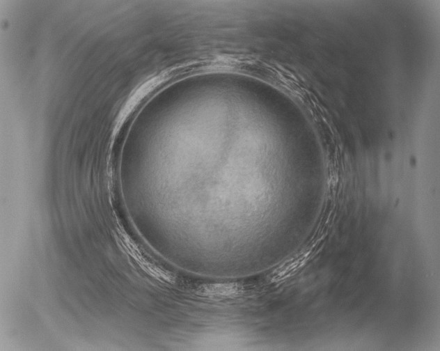 X0000056350102200508261322