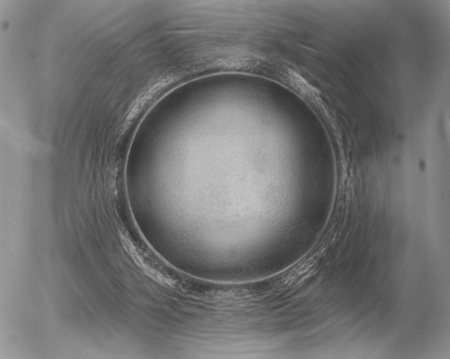 X0000056350106200508261322