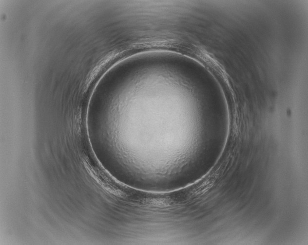 X0000056350107200508261322