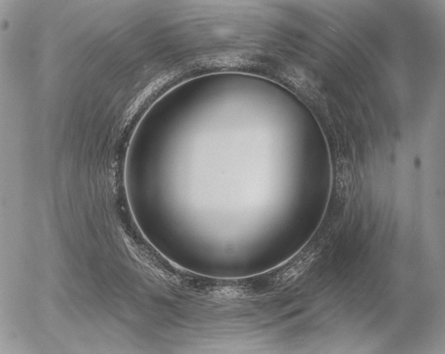 X0000056350111200508261322